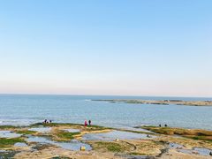 -日照海滨国家森林公园