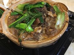 东山羊肉煲-老廣食堂(区庄店)