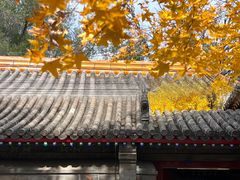 -承恩寺