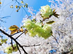 -白塘生态植物园