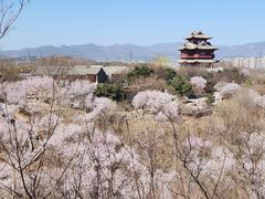 -万通商城