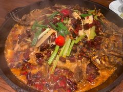 -老板恋上鱼(恒隆广场店)