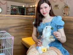 -猫猫幼稚园·撸猫·桌游·电玩