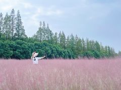 -嘉北郊野公园