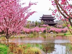 -南山风景名胜区