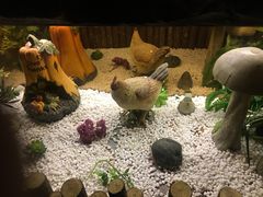 -嘉禾·悦享餐厅(八方汇店)