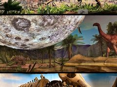 -辽宁古生物博物馆