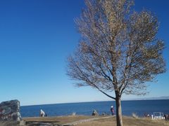 -青海湖国家重点风景名胜区