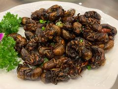 -黄狗猪头肉(运河路店)