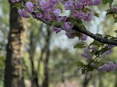 -昆山城市生态森林公园