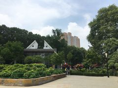 -洛阳市牡丹公园