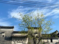 -塔川景区
