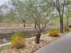 -元大都城垣遗址公园