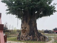-东台西溪天仙缘景区