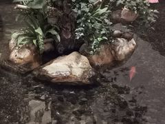-白天鹅宾馆·流浮阁咖啡厅(沙面南街店)