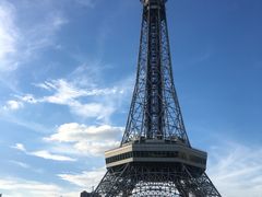 -海晖酒楼·顺德鱼生(荣华店)