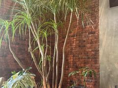 -J Create城市露营咖啡·简餐·宠物(上海动物园店)