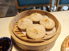 -点都德·毕德寮