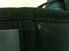 -神州租车(济南遥墙国际机场店)