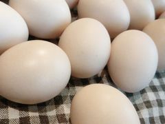 -湘邻呷铺·田园家宴(汉基广场店)