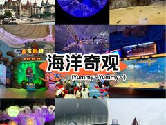 -烟台海昌鲸鲨海洋公园