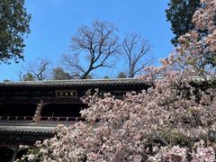 -潭柘寺景区