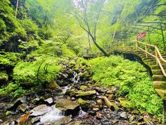 -凤凰山国家森林公园