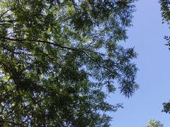 -白塘生态植物园
