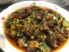冰镇海螺-官塘锋记鱼生·生腌·砂锅粥(牌坊街店)