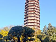 -西海子公园