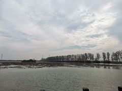 -池杉湖湿地公园