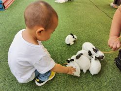 -萌宠亲子动物乐园(槐房万达店)