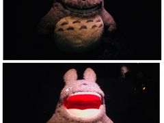 -伊豆泰迪熊博物馆