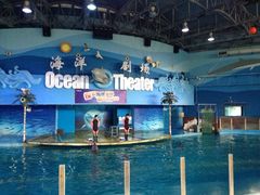 iphone_upload_pic-苏州海洋馆
