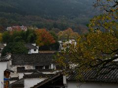 -塔川景区