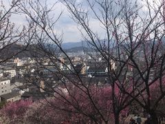 -台州府城(江南长城)