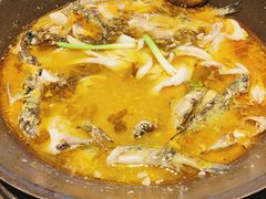 -吃城都·鱼蛙火锅(西玉龙街店)