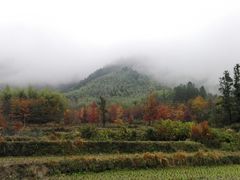 -塔川景区