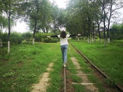 -永定河休闲森林公园