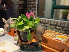 -慢丽江·云南野生菌土鸡锅(付家庄店)