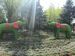 -长白岛森林公园