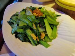 油渣上海青-韵秋荷(宝山龙湖天街店)