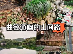 -杭州半山国家森林公园