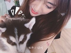 -Husky Go! 哈士奇体验馆·宠物咖啡厅狗咖