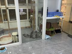 -爱洗澡的猫(天河路店)