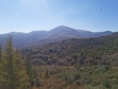 -灵山