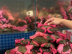 -辣螃铠盆盆蟹大排档(总店)