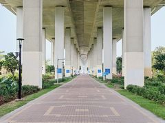 -中澳友谊花园