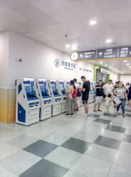 -上海交通大学医学院附属上海儿童医学中心(陆家嘴总院区)