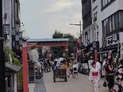 -秋叶原电器街